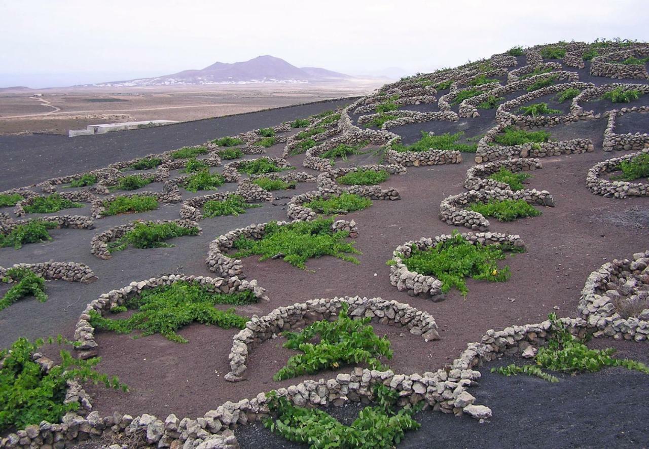 Casa El Gallo Teguise  Exteriör bild